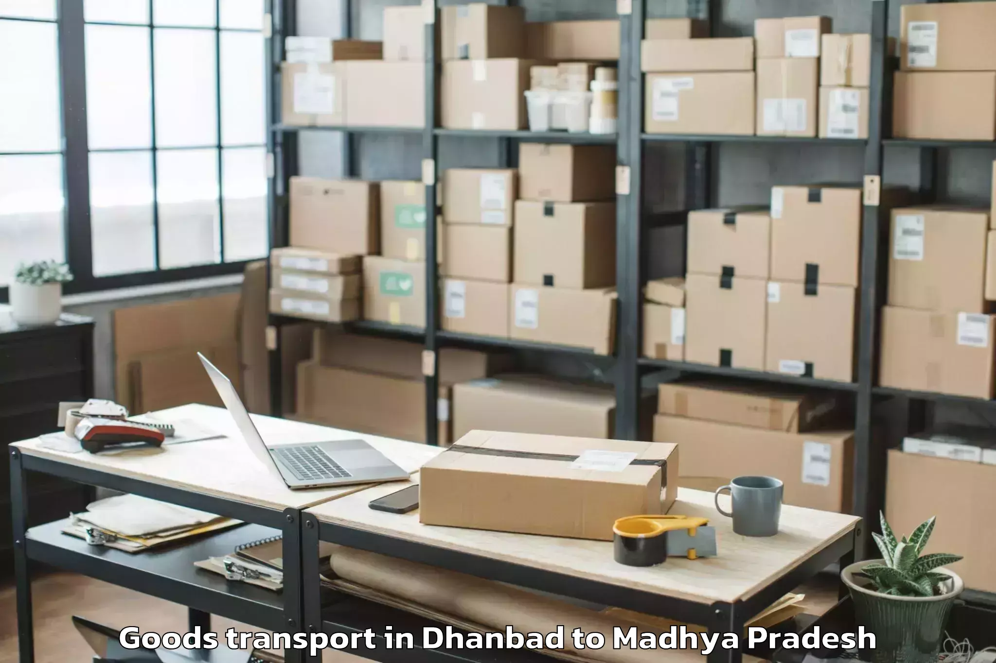 Top Dhanbad to Bhopal Goods Transport Available